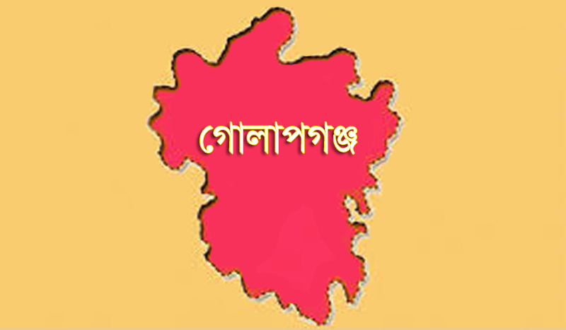 গোলাপগঞ্জে এইচএসসিতে বেড়েছে পাসের হার ও জিপিএ-৫