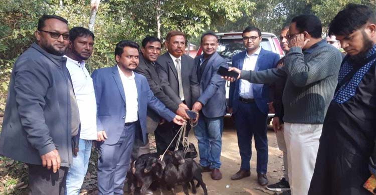 গোলাপগঞ্জের ৭ শহিদ পরিবারকে ছাগল ও নগদ অর্থ প্রদান