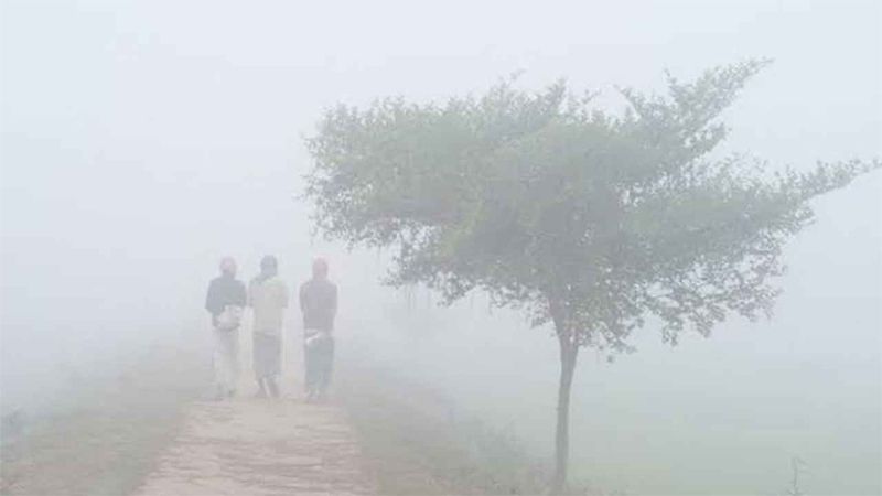 শেষ অগ্রাহায়ণে তীব্র শীত অনুভূত