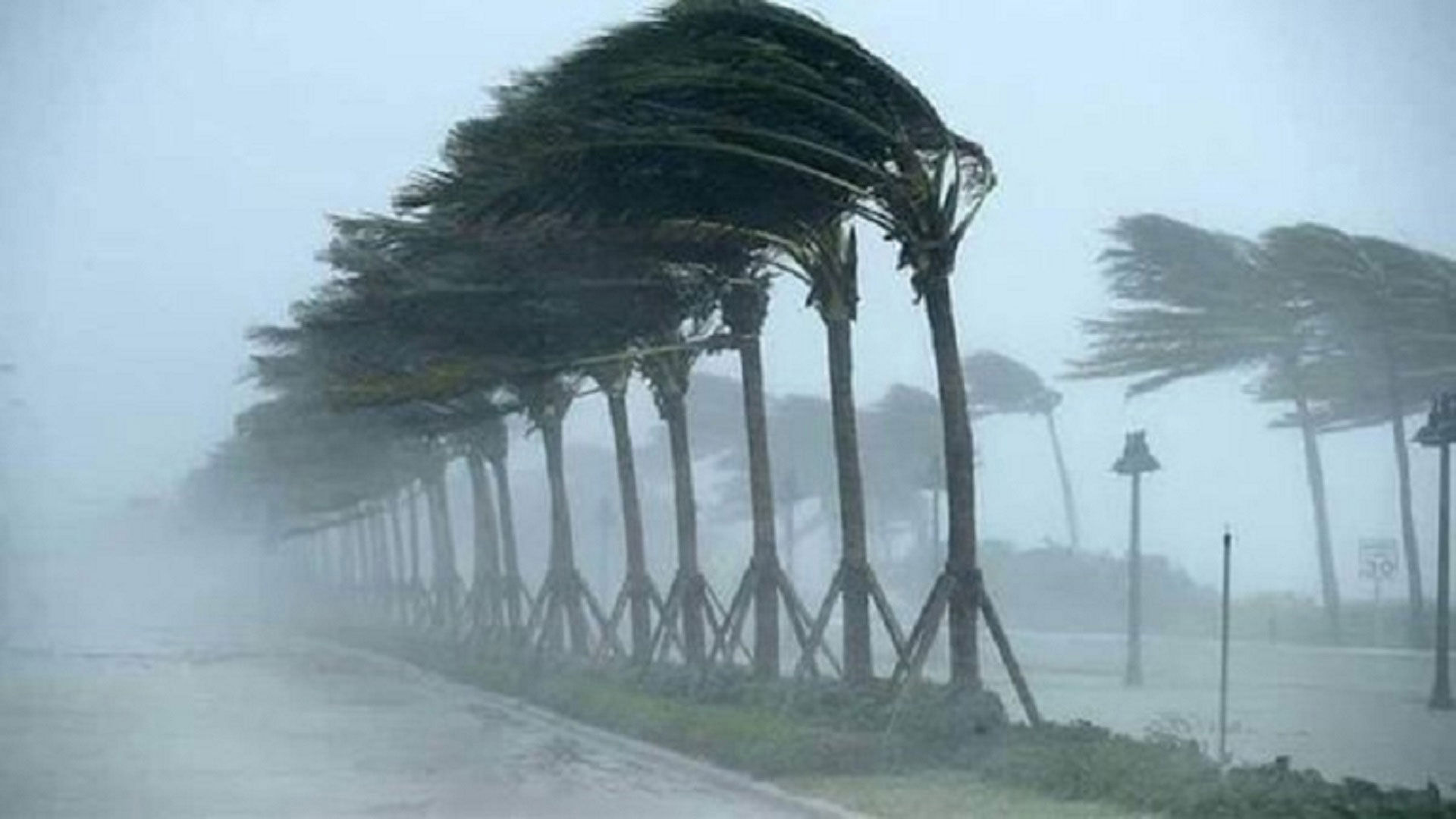 সিলেটসহ ১৪ অঞ্চলে ব*জ্রঝড়ের শ*ঙ্কা