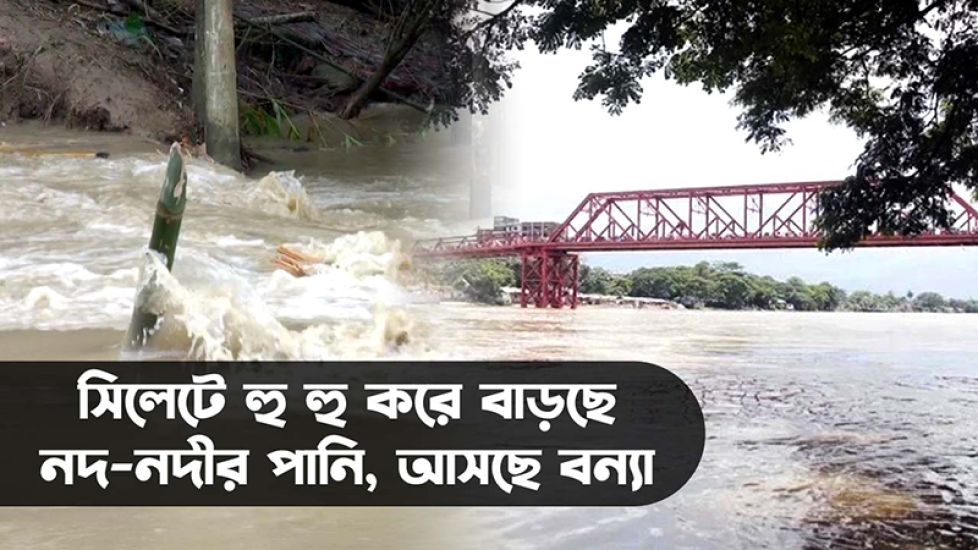 সিলেটে হু হু করে বাড়ছে নদীর পানি