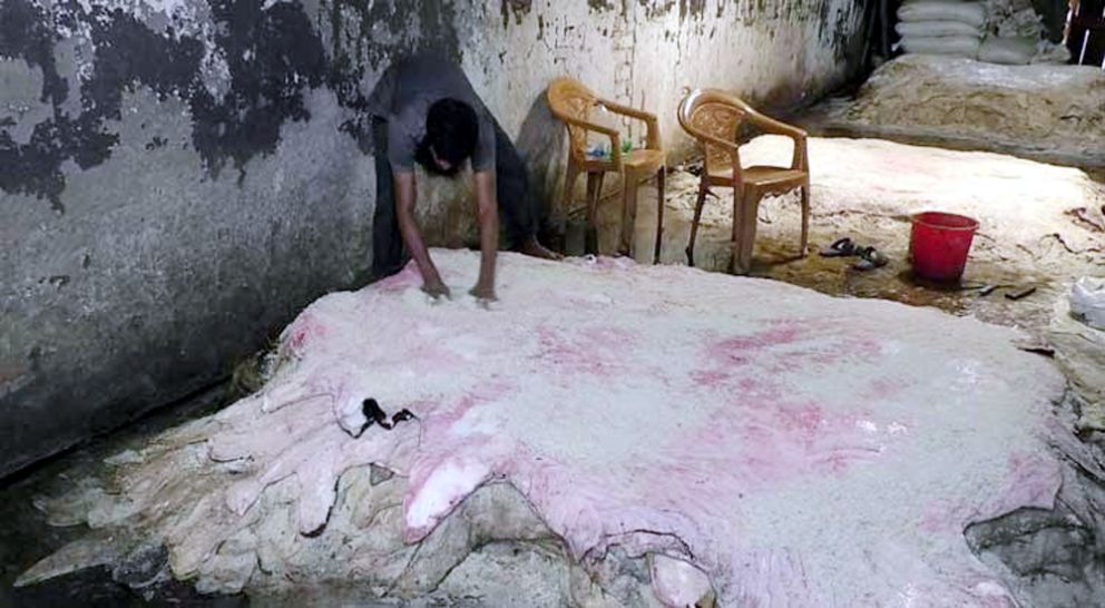 বিয়ানীবাজারে স ঙ্ক টে চামড়ার আড়ৎ