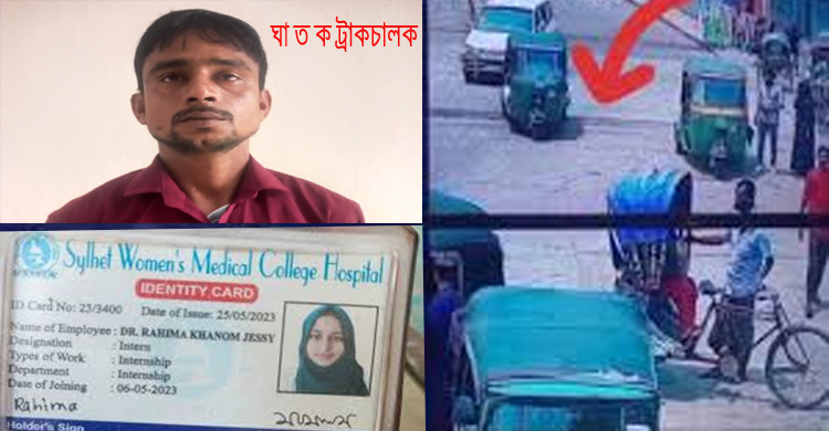 সিলেটে ট্রাক চা পা য় চিকিৎসক জেসির মৃ ত্যু : সেই চালক গ্রে ফ তা র