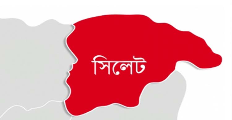 জকিগঞ্জে বিয়ের মাইক্রোবাস ও টমটমের মুখোমুখি সং ঘ র্ষে ১ নি হ ত, আ হ ত ১২