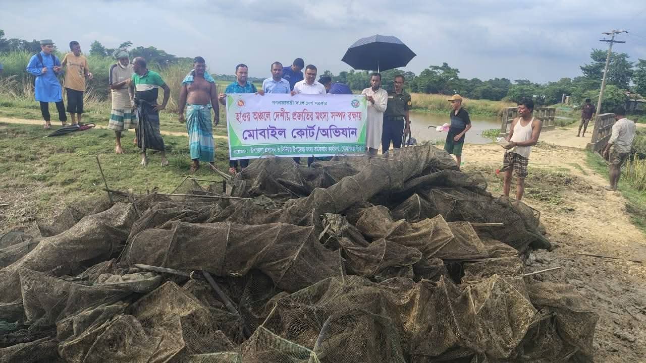 গোলাপগঞ্জে হাওরে অভিযানে ২৬টি চায়না জাল জব্দ করে ধ্বংস