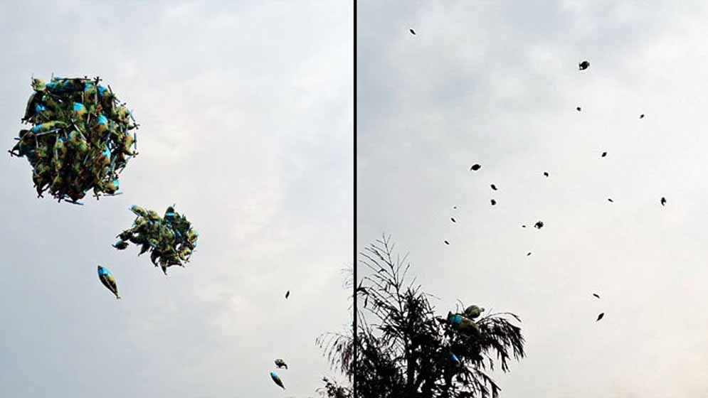 ‘এই মাত্র খবর এলো, খুনি হাসিনা পালিয়ে গেল’