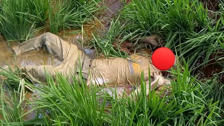 কমলগঞ্জের নন্দগ্রামে গলাকাটা লাশ উদ্ধার