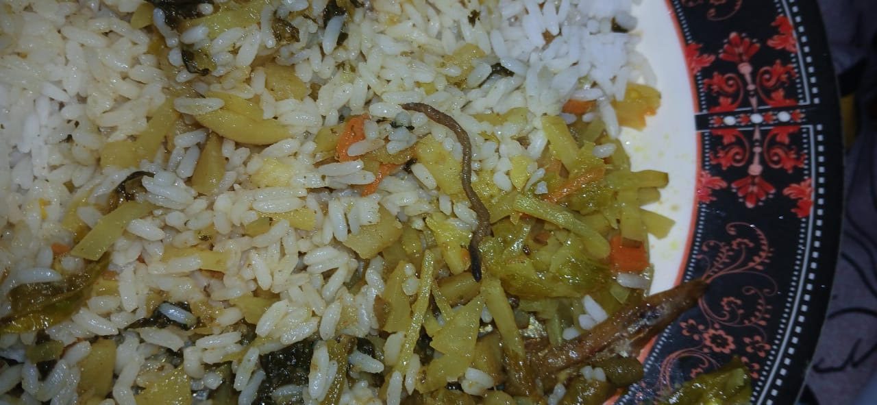 শাবির ছাত্রী হলের ক্যান্টিনের খাবারে মিলল কেঁচো