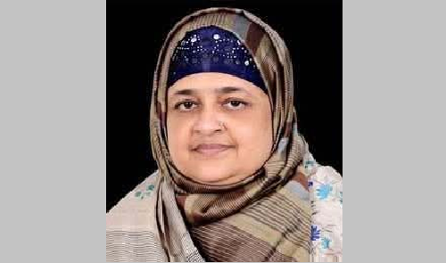 সিলেট বিভাগে বিএনপির একমাত্র নারী প্রার্থী ইলিয়াসপত্নী লুনা