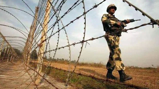 ২০২৫ সালে ৩৪ বাংলাদেশিকে হত্যা করেছে বিএসএফ