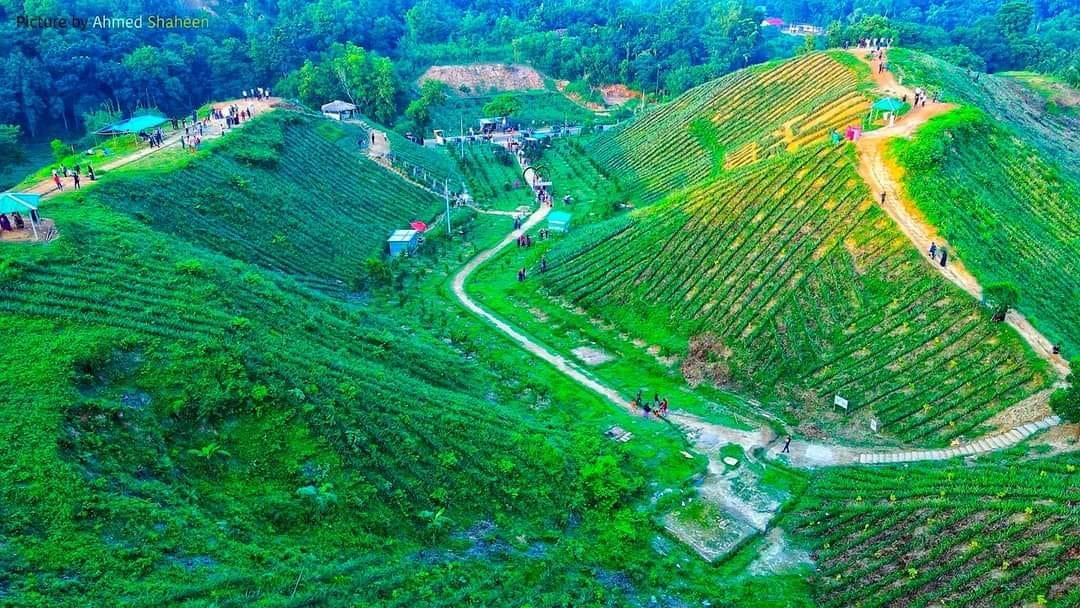 ঐতিহ্য, প্রাকৃতিক সম্পদ, উন্নয়ন ও সম্ভাবনার প্রাণময় উপজেলা গোলাপগঞ্জ