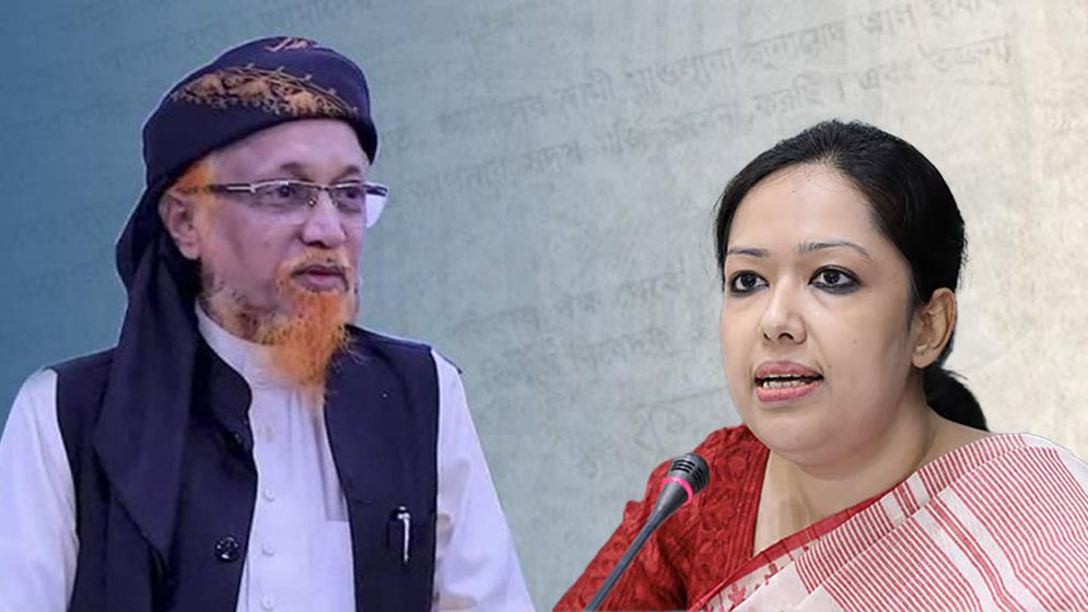 রুমিন ফারহানার আসনে জুনায়েদ আল হাবিব