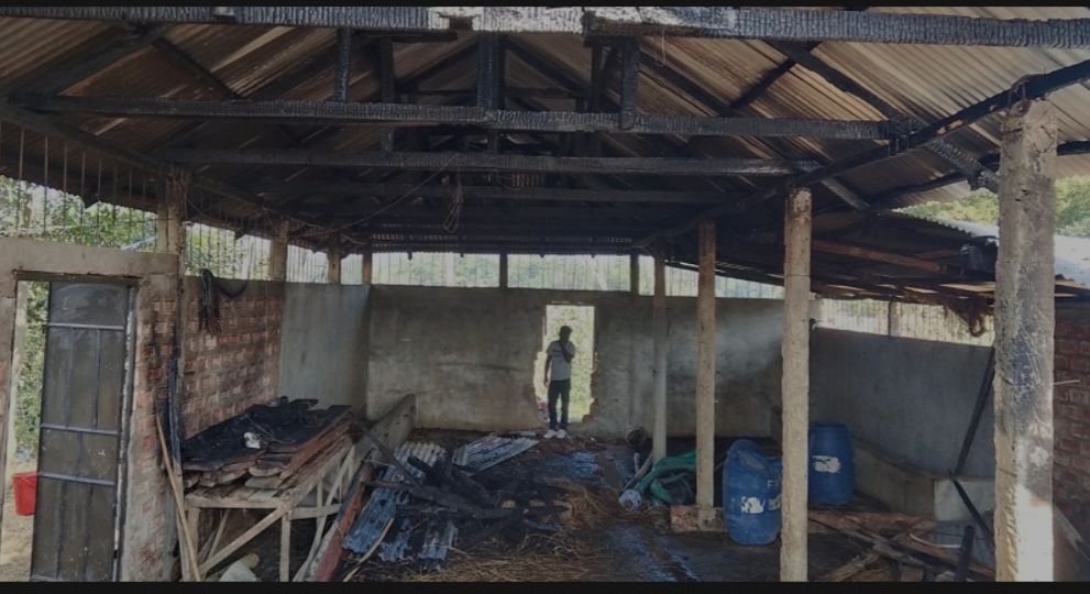 গোলাপগঞ্জে গরুর খামারে দুর্বৃত্তের আগুনে পুড়ে বোবা প্রাণীর মৃত্যু