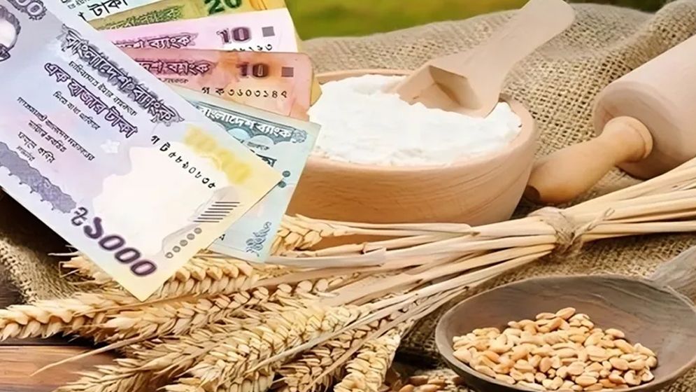 ফিতরা কখন ও কিভাবে আদায় করতে হবে?