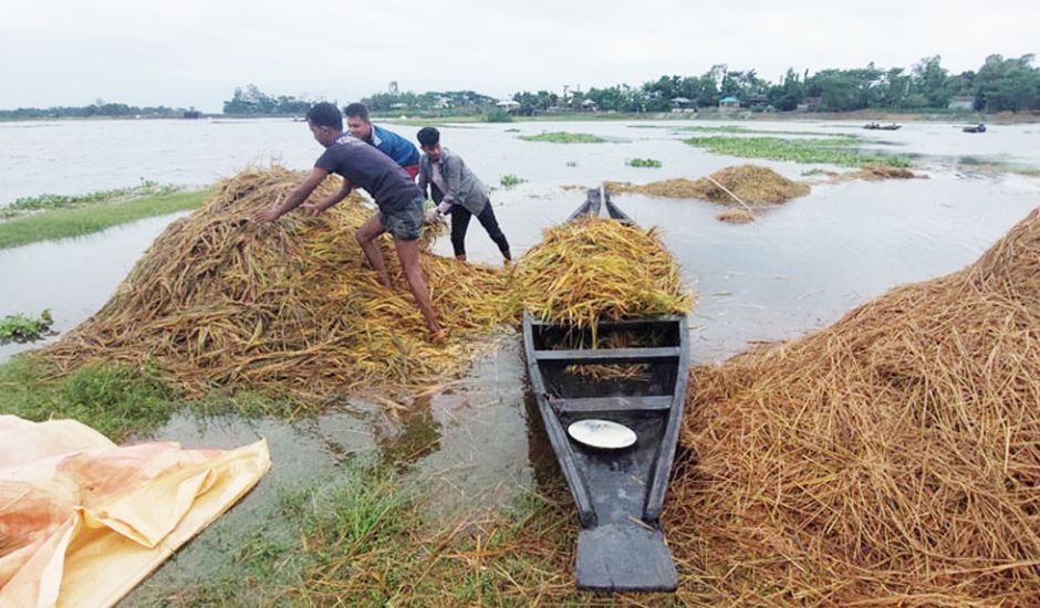 সিলেটের ৪ জেলায় বন্যার শঙ্কা, নদীর পানি বিপৎসীমার ওপরে