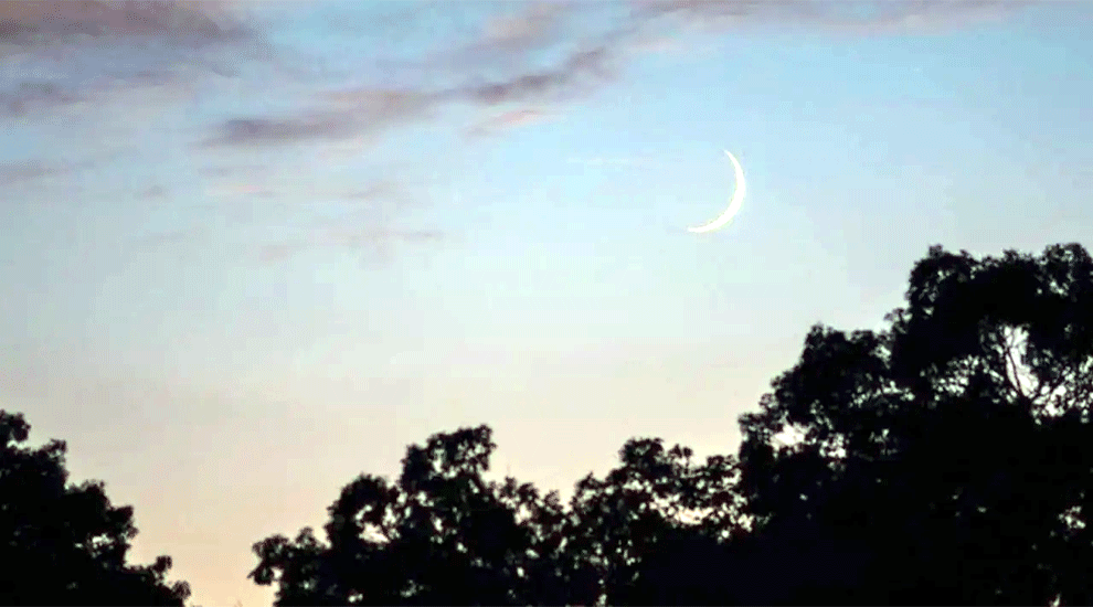 পবিত্র ঈদুল আজহা ২৮ মে বৃহস্পতিবার