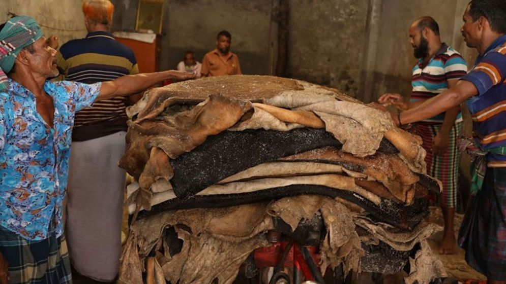 কুরবানির চামড়া সংগ্রহ বর্জনের ডাক কওমি মাদ্রাসার