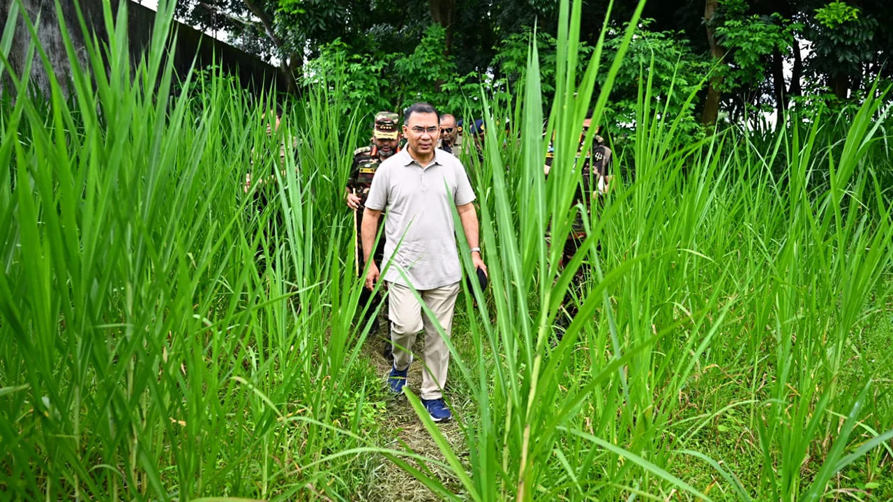 সেনাবাহিনীর গ্রীষ্মকালীন মহড়া আকস্মিক পরিদর্শন প্রধানমন্ত্রীর